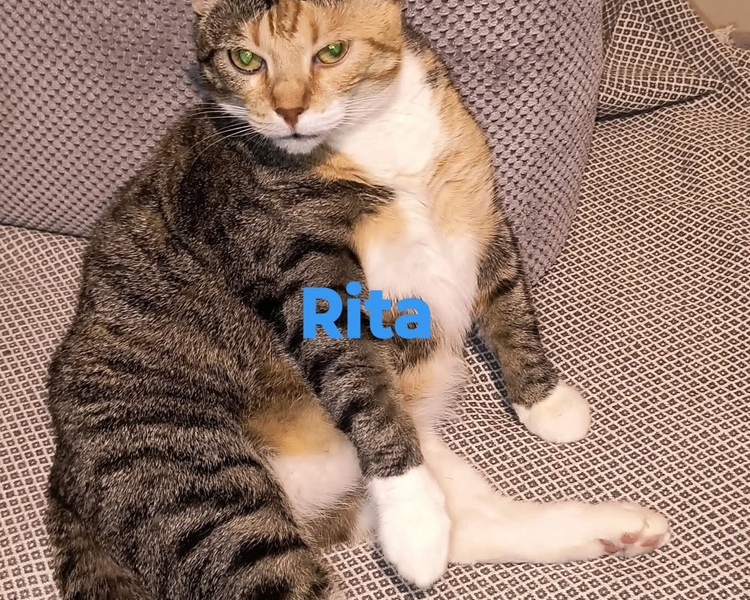 Rita/
