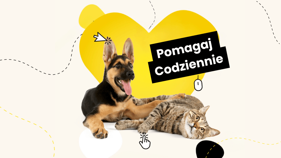 banner-image
