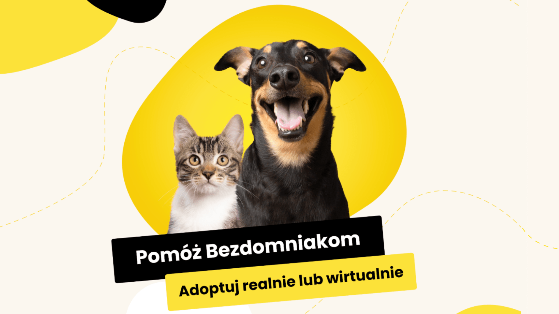 banner-image