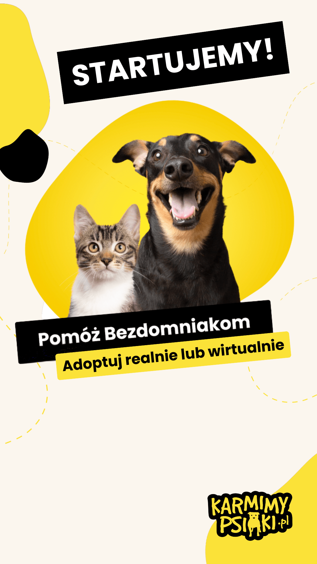 startujemy!