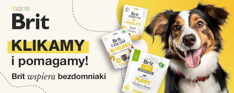 Pomagaj Codziennie Banner